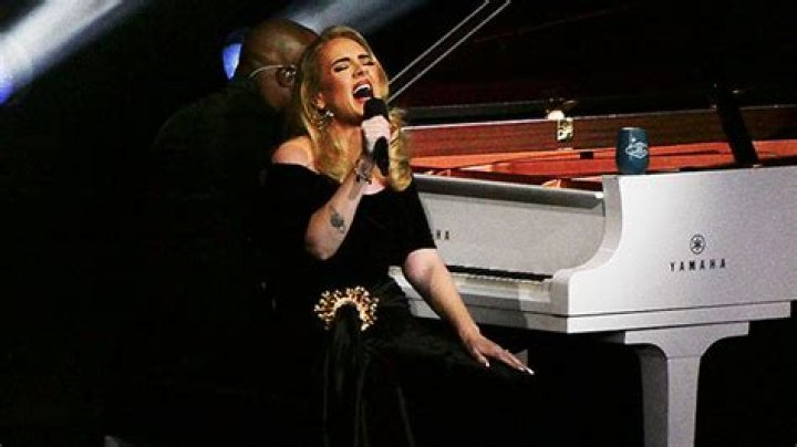 Adele Encourages Fans To ‘Go Order Some Drinks’ At Her Show: ’Drunker The Better’